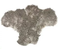 Chevron Chickabou Complete - Funky Fly Tying -Fly Fishing Supplies Store Chevron Chickabou Complete Grizzle 1