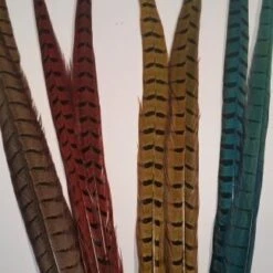 Chevron Cock Pheasant Tail Feather - Funky Fly Tying