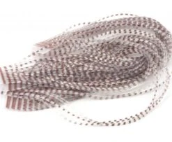 Hareline Chicone's Micro Crusher Legs - Funky Fly Tying -Fly Fishing Supplies Store Chicones Micro Crusher Legs Barred Brown