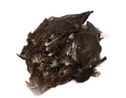 Chevron Grouse Skin - Funky Fly Tying