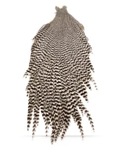 Chevron Grade 2 Rooster Neck Cape - Funky Fly Tying