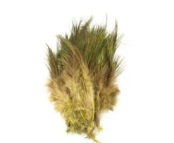 Fish Hunter Strung Ringneck Pheasant Rump Hackle - Funky Fly Tying -Fly Fishing Supplies Store Fish Hunter Ringneck Pheasant Rump Hackle Dark Olive 1