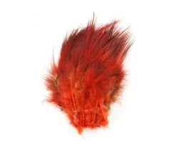 Fish Hunter Strung Ringneck Pheasant Rump Hackle - Funky Fly Tying -Fly Fishing Supplies Store Fish Hunter Ringneck Pheasant Rump Hackle Hot Orange 1