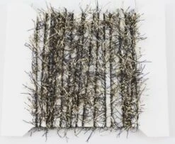 Funky 10mm Black & Gold Straggle Fritz - Funky Fly Tying -Fly Fishing Supplies Store Funky 10mm Black Gold Straggle Fritz 2