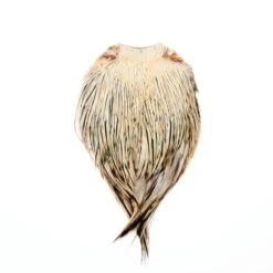 Funky Cock Capes - Funky Fly Tying 22 Funky Cock Capes - Funky Fly Tying -Fly Fishing Supplies Store Funky Cock Cape Badger 22 1 scaled 3