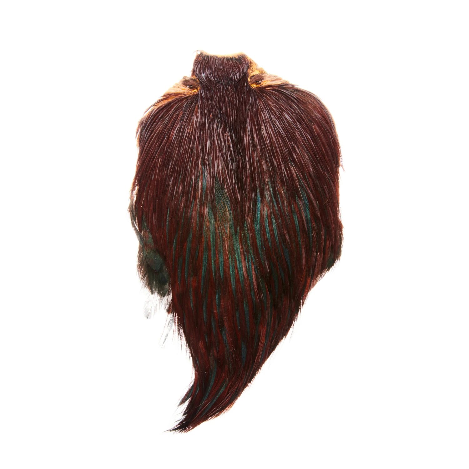 Funky Cock Capes - Funky Fly Tying 14 Funky Cock Capes - Funky Fly Tying - Image 14
