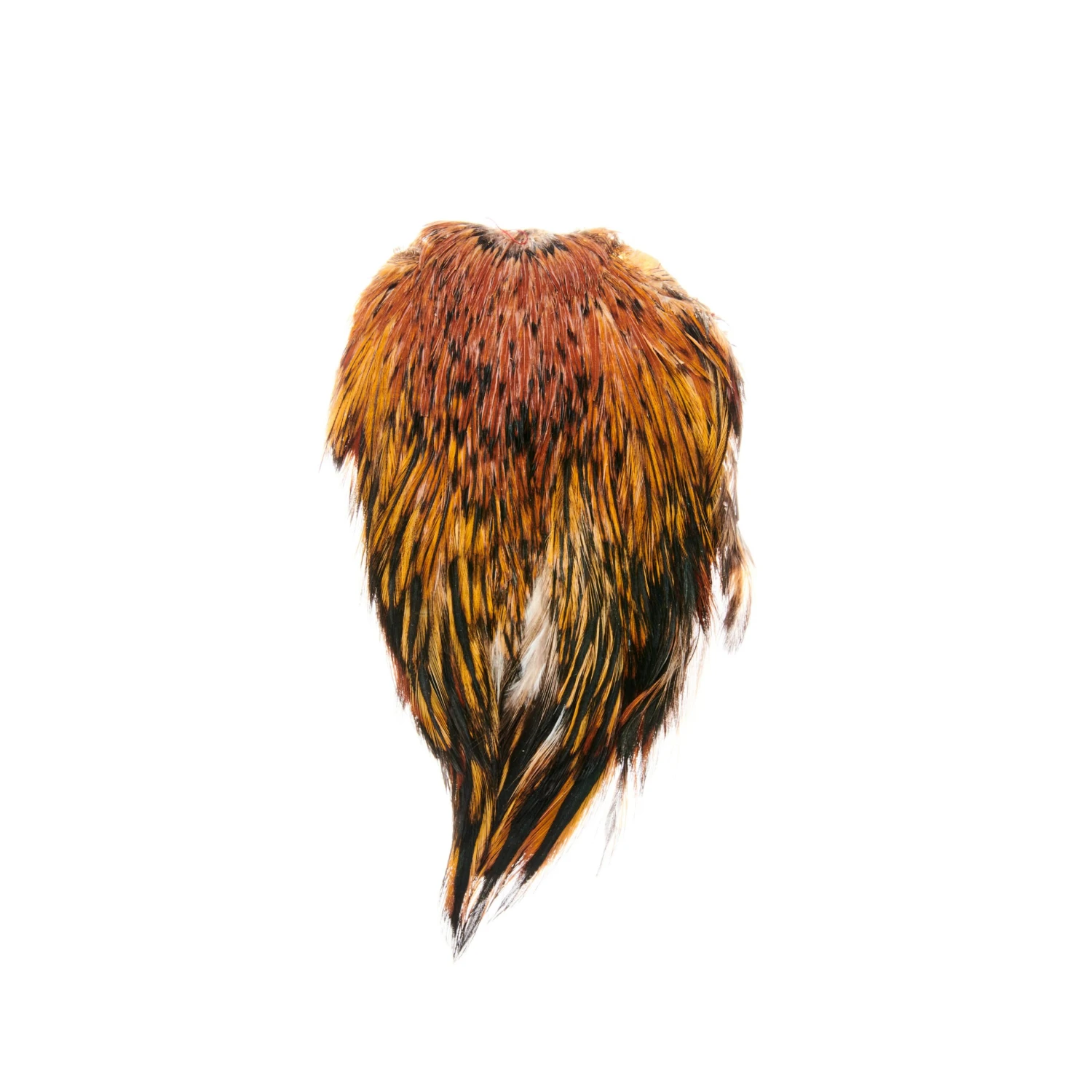 Funky Cock Capes - Funky Fly Tying 16 Funky Cock Capes - Funky Fly Tying - Image 16