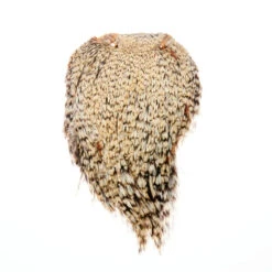 Funky Cock Capes - Funky Fly Tying 38 Funky Cock Capes - Funky Fly Tying -Fly Fishing Supplies Store Funky Cock Cape Light Cree Variant 23 1 scaled 1