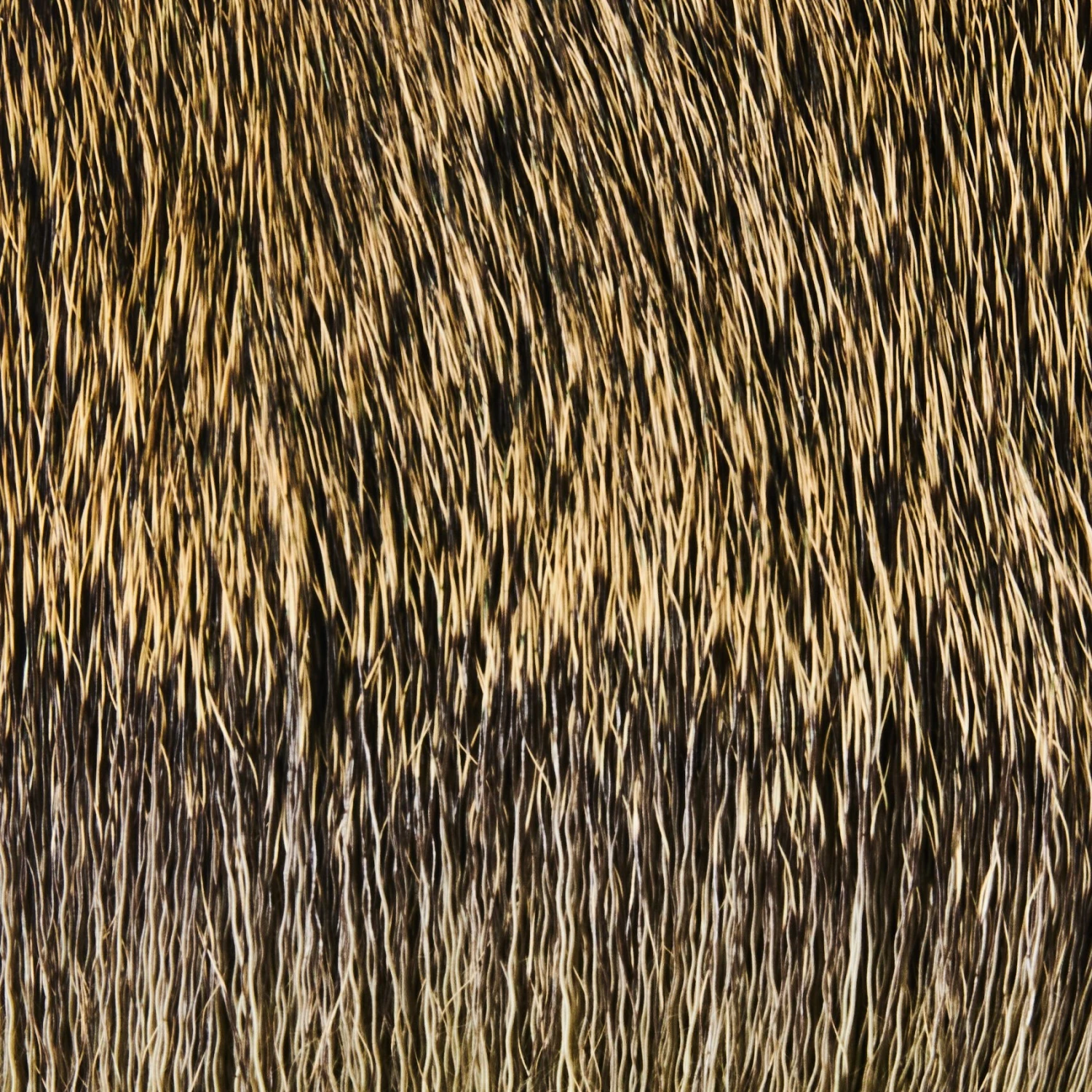 Funky Deer Hair - Funky Fly Tying 16 Funky Deer Hair - Funky Fly Tying - Image 16