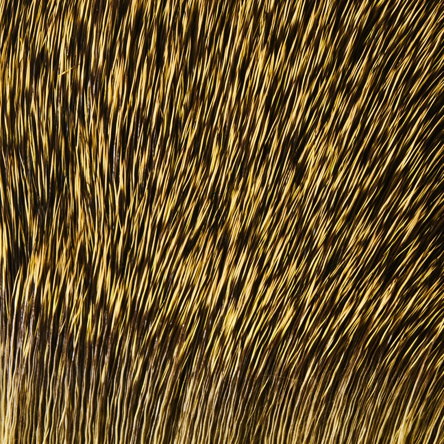 Funky Deer Hair - Funky Fly Tying 5 Funky Deer Hair - Funky Fly Tying - Image 5