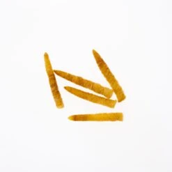 Funky Extended Caddis Fly Bodies (Large) - Funky Fly Tying -Fly Fishing Supplies Store Funky Extended Bodies Caddis Large Golden Stone 233 scaled 3