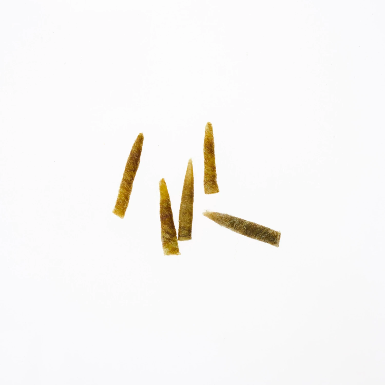 Funky Extended Caddis Fly Bodies (Medium) - Funky Fly Tying 2 Funky Extended Caddis Fly Bodies (Medium) - Funky Fly Tying - Image 2