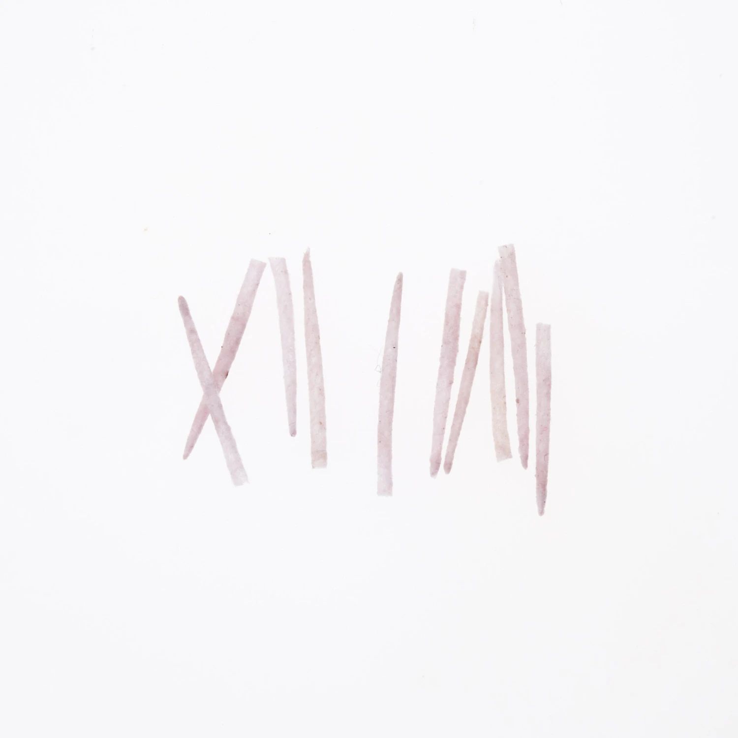 Funky Extended Caddis Fly Bodies (Small) - Funky Fly Tying 7 Funky Extended Caddis Fly Bodies (Small) - Funky Fly Tying - Image 7