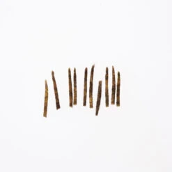 Funky Extended Caddis Fly Bodies (Small) - Funky Fly Tying 22 Funky Extended Caddis Fly Bodies (Small) - Funky Fly Tying -Fly Fishing Supplies Store Funky Extended Bodies Caddis Small Olive 259 1 scaled 1