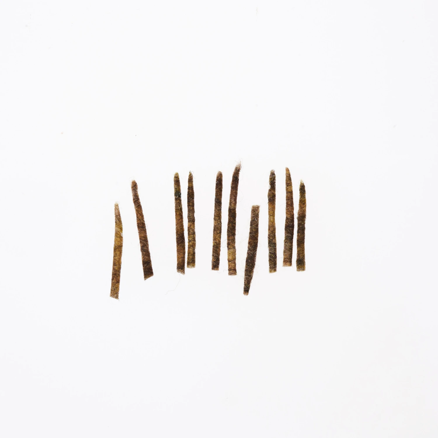 Funky Extended Caddis Fly Bodies (Small) - Funky Fly Tying 9 Funky Extended Caddis Fly Bodies (Small) - Funky Fly Tying - Image 9