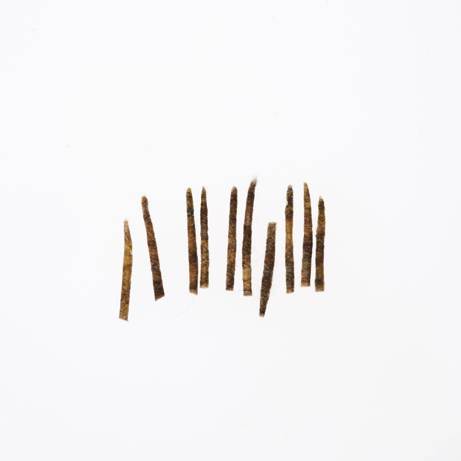 Funky Extended Caddis Fly Bodies (Small) - Funky Fly Tying 11 Funky Extended Caddis Fly Bodies (Small) - Funky Fly Tying - Image 11