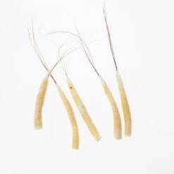 Funk Extended Mayfly Bodies (Large) - Funky Fly Tying -Fly Fishing Supplies Store Funky Extended Bodies Mayfly Large Cream Danica 241 scaled 1