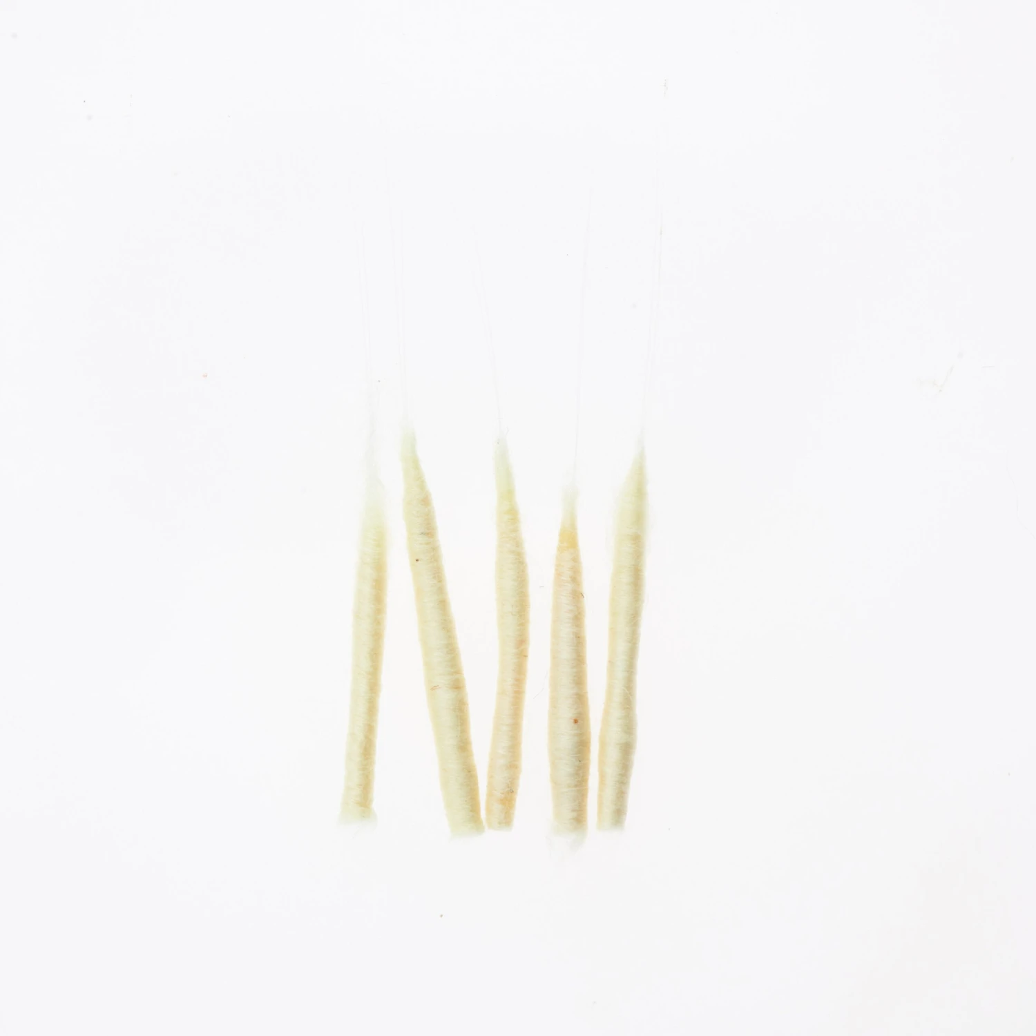 Funky Extended Mayfly Bodies (Medium) - Funky Fly Tying 16 Funky Extended Mayfly Bodies (Medium) - Funky Fly Tying - Image 16