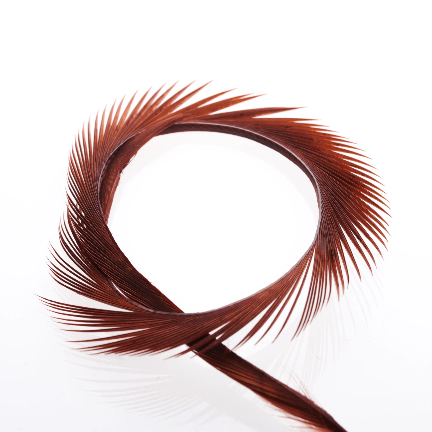 Funky Goose Biots - Funky Fly Tying 6 Funky Goose Biots - Funky Fly Tying - Image 6