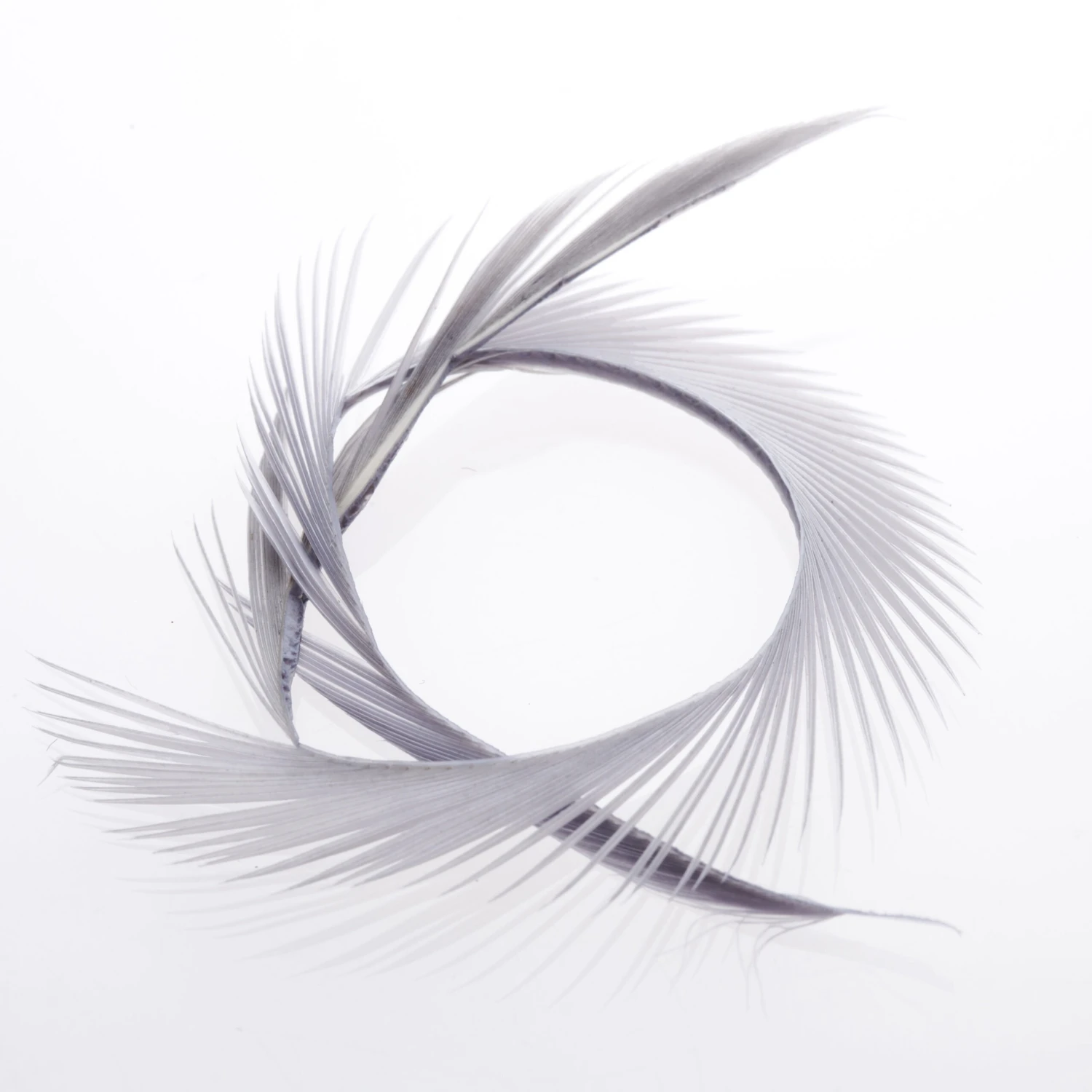 Funky Goose Biots - Funky Fly Tying 15 Funky Goose Biots - Funky Fly Tying - Image 15