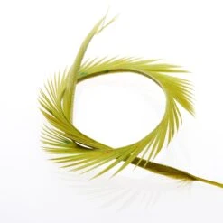 Funky Goose Biots - Funky Fly Tying 39 Funky Goose Biots - Funky Fly Tying -Fly Fishing Supplies Store Funky Goose Biots Olive v1 scaled 2