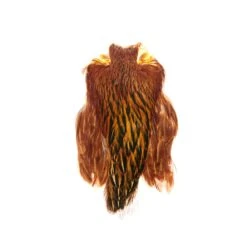 Funky Hen Cape - Funky Fly Tying -Fly Fishing Supplies Store Funky Hen Cape Furnace Greenwells 36 scaled 4