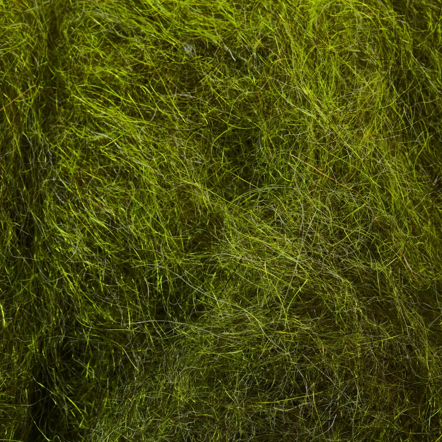 Funky Scud Dubbing - Funky Fly Tying 17 Funky Scud Dubbing - Funky Fly Tying - Image 17