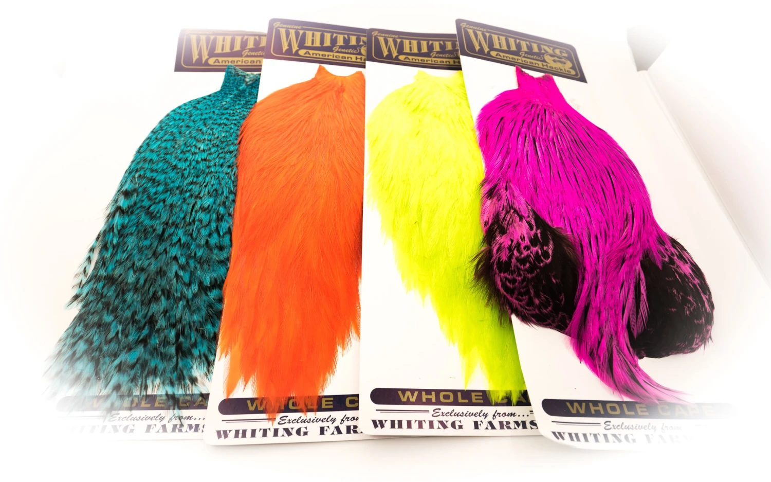 Whiting American Rooster Capes - Funky Fly Tying 2 Whiting American Rooster Capes - Funky Fly Tying - Image 2