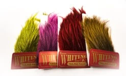 Whiting Coq De Leon Tailing Pack - Funky Fly Tying