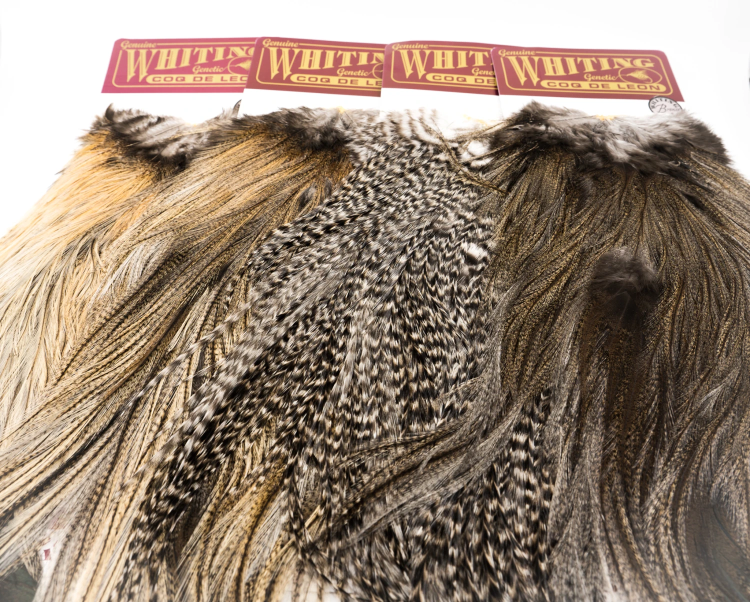 Whiting Coq De Leon Bronze Rooster Saddle - Funky Fly Tying 1 Whiting Coq De Leon Bronze Rooster Saddle - Funky Fly Tying