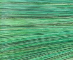 H2O Flat & Fine - Funky Fly Tying 36 H2O Flat & Fine - Funky Fly Tying -Fly Fishing Supplies Store H2O Flat Fine Seaweed