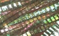 Hedron Lateral Scale - Funky Fly Tying