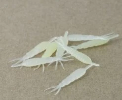 Hemingway's Ephemera Danica Nymph Body - Funky Fly Tying -Fly Fishing Supplies Store Hemingways Ephemera Danica Nymph Body Clear yellow