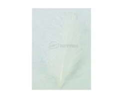 Hends CDC 5g Bulk Pack - Funky Fly Tying -Fly Fishing Supplies Store Hends CDC 5g Bulk Pack White