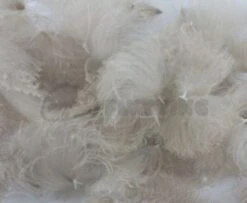 Nature's Spirit CDC Tufts (Oiler Puffs) - Funky Fly Tying 26 Nature's Spirit CDC Tufts (Oiler Puffs) - Funky Fly Tying -Fly Fishing Supplies Store Natures Spirit CDC Tufts Oiler Puffs Natural Mallard