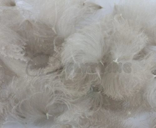 Nature's Spirit CDC Tufts (Oiler Puffs) - Funky Fly Tying 7 Nature's Spirit CDC Tufts (Oiler Puffs) - Funky Fly Tying - Image 7