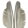Nature's Spirit Goose Quills - Funky Fly Tying