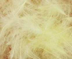 Nature's Spirit Duck CDC - Funky Fly Tying -Fly Fishing Supplies Store Natures Spirit Duck CDC Pale Yellow