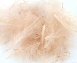 Nature's Spirit Duck CDC - Funky Fly Tying -Fly Fishing Supplies Store Natures Spirit Duck CDC Pink Cahill