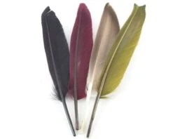 Nature's Spirit Duck Quills - Funky Fly Tying