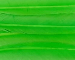 Nature's Spirit Duck Quills - Funky Fly Tying -Fly Fishing Supplies Store Natures Spirit Duck Quills Fluo Chartreuse