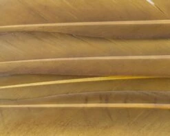 Nature's Spirit Duck Quills - Funky Fly Tying -Fly Fishing Supplies Store Natures Spirit Duck Quills Golden Olive