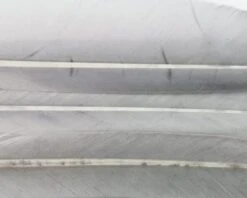 Nature's Spirit Duck Quills - Funky Fly Tying -Fly Fishing Supplies Store Natures Spirit Duck Quills Medium Dun