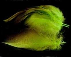Nature's Spirit Dyed Bronze Mallard - Funky Fly Tying -Fly Fishing Supplies Store Natures Spirit Dyed Bronze Mallard Fluo Chartereuse