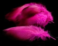 Nature's Spirit Dyed Bronze Mallard - Funky Fly Tying -Fly Fishing Supplies Store Natures Spirit Dyed Bronze Mallard Fluo HOt Pink 1