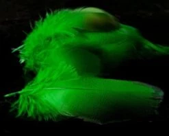 Nature's Spirit Dyed Bronze Mallard - Funky Fly Tying -Fly Fishing Supplies Store Natures Spirit Dyed Bronze Mallard Green 1