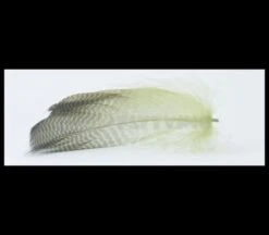 Nature's Spirit Gadwell Flank Feathers - Funky Fly Tying -Fly Fishing Supplies Store Natures Spirit Gadwell Flank Feathers 13 1