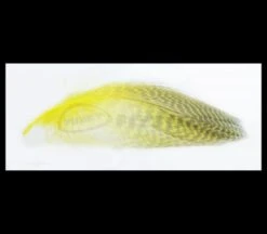 Nature's Spirit Gadwell Flank Feathers - Funky Fly Tying -Fly Fishing Supplies Store Natures Spirit Gadwell Flank Feathers 14 1