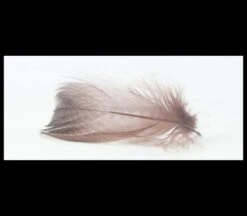Nature's Spirit Gadwell Flank Feathers - Funky Fly Tying -Fly Fishing Supplies Store Natures Spirit Gadwell Flank Feathers 3