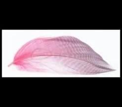 Nature's Spirit Gadwell Flank Feathers - Funky Fly Tying -Fly Fishing Supplies Store Natures Spirit Gadwell Flank Feathers 4